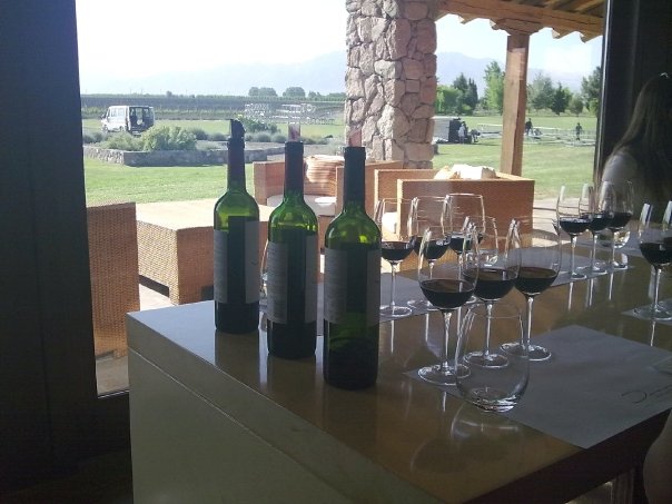 Finca Decero, Agrelo, Argentina. Vino