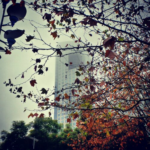 Niebla en Puerto Madero