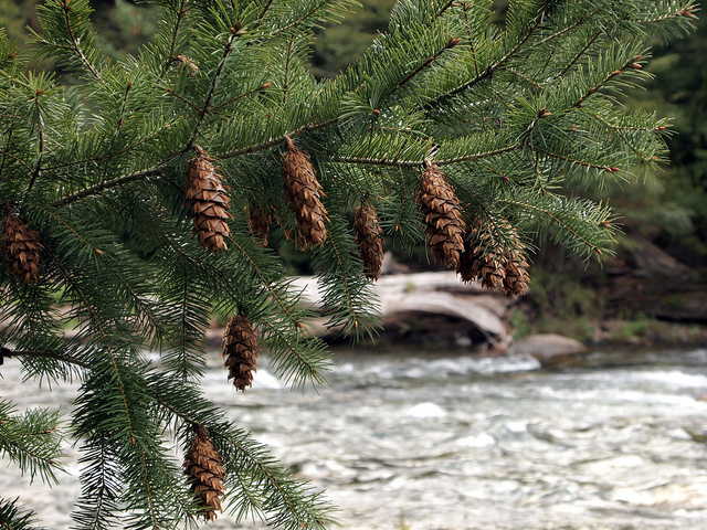 Río Bonito, Neuquén