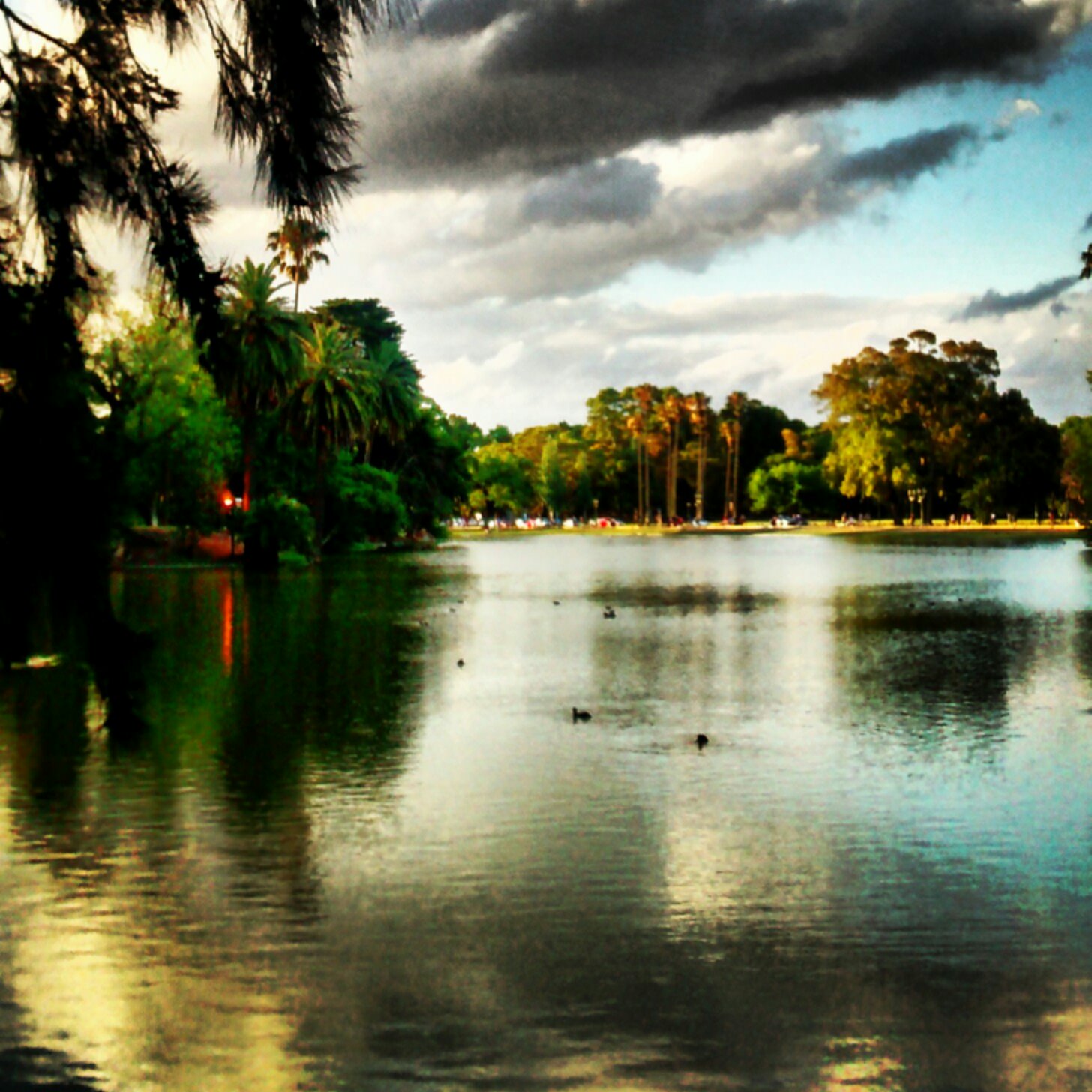 Bosques de Palermo
