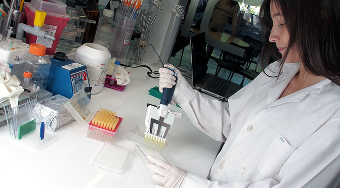 El camino que va del laboratorio al producto para detectar pacientes infectados con zika