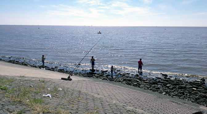 Aire, sol y alimento en la costa del río de la Plata en Vicente López