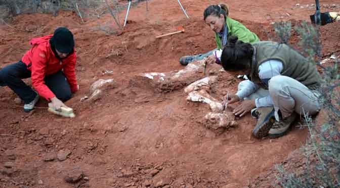 El hallazgo del primer dinosaurio gigante en la Argentina