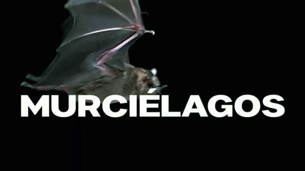 “Murciélagos”, la película filmada en cuarentena, se estrenará el 2 de julio