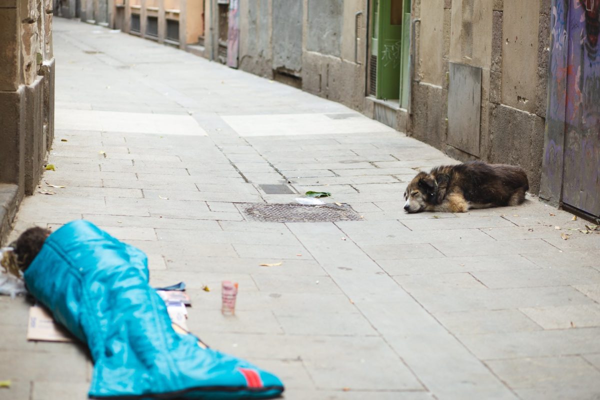 houseless person with dog sleeping on street