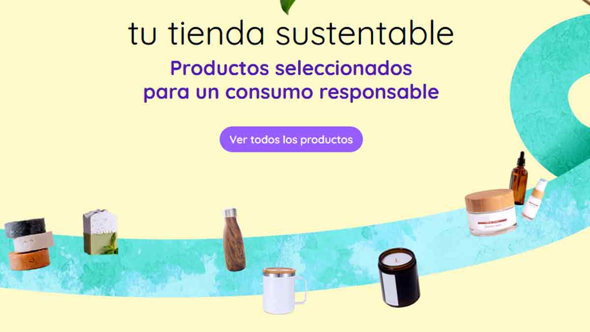 Flip!: plataforma de seguros que ayuda a emprendimientos sustentables