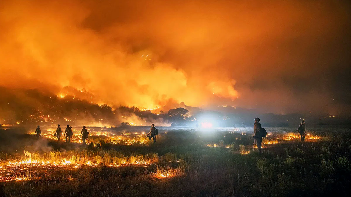 Colecta de ayuda para damnificados por los incendios en Chile