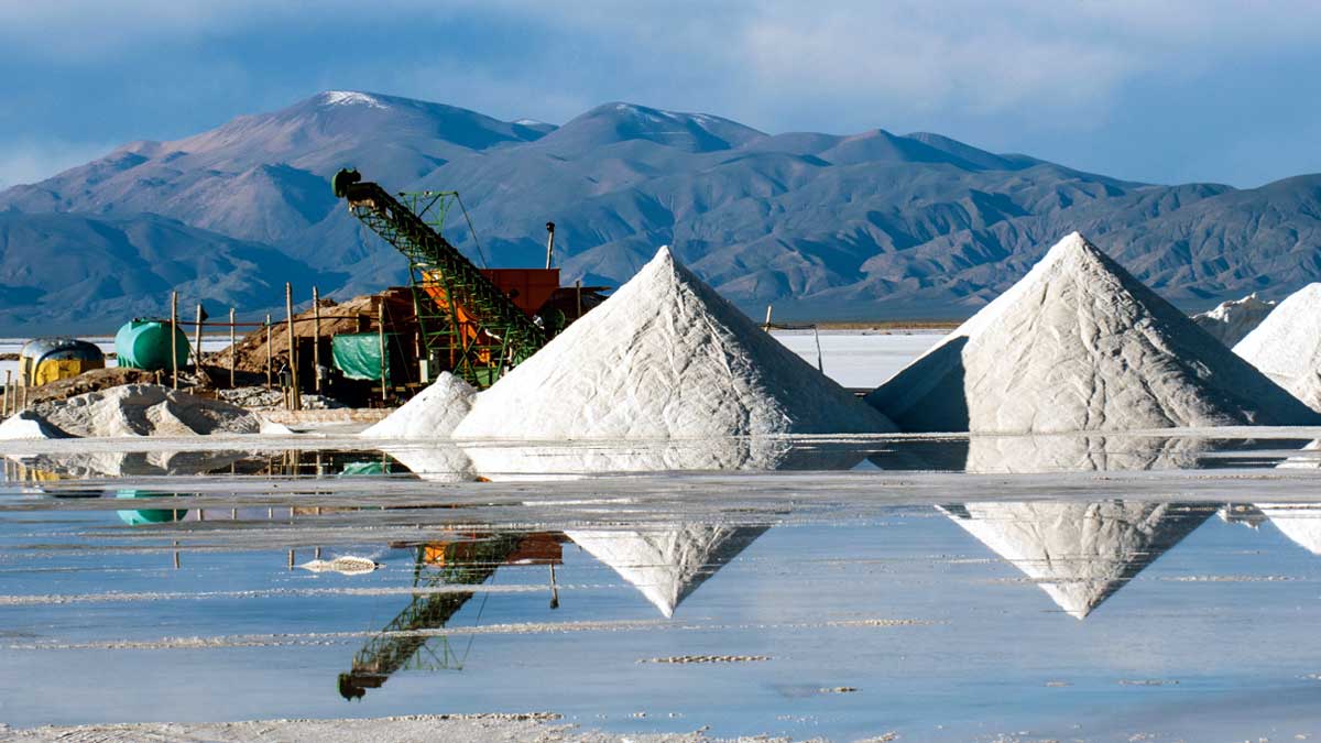 Energía limpia y salitres sostenibles: método electroquímico argentino de obtención de litio