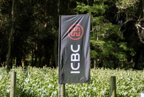 ICBC Vinos y finanzas Mar del Plata