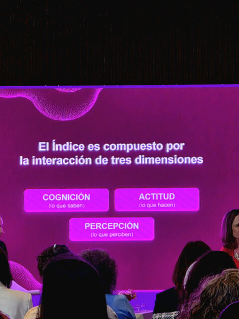 Índice de concientización sobre la violencia hacia las mujeres