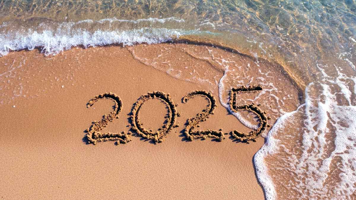 Las novedades del año viejo 2025