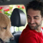 Viajar con mascota