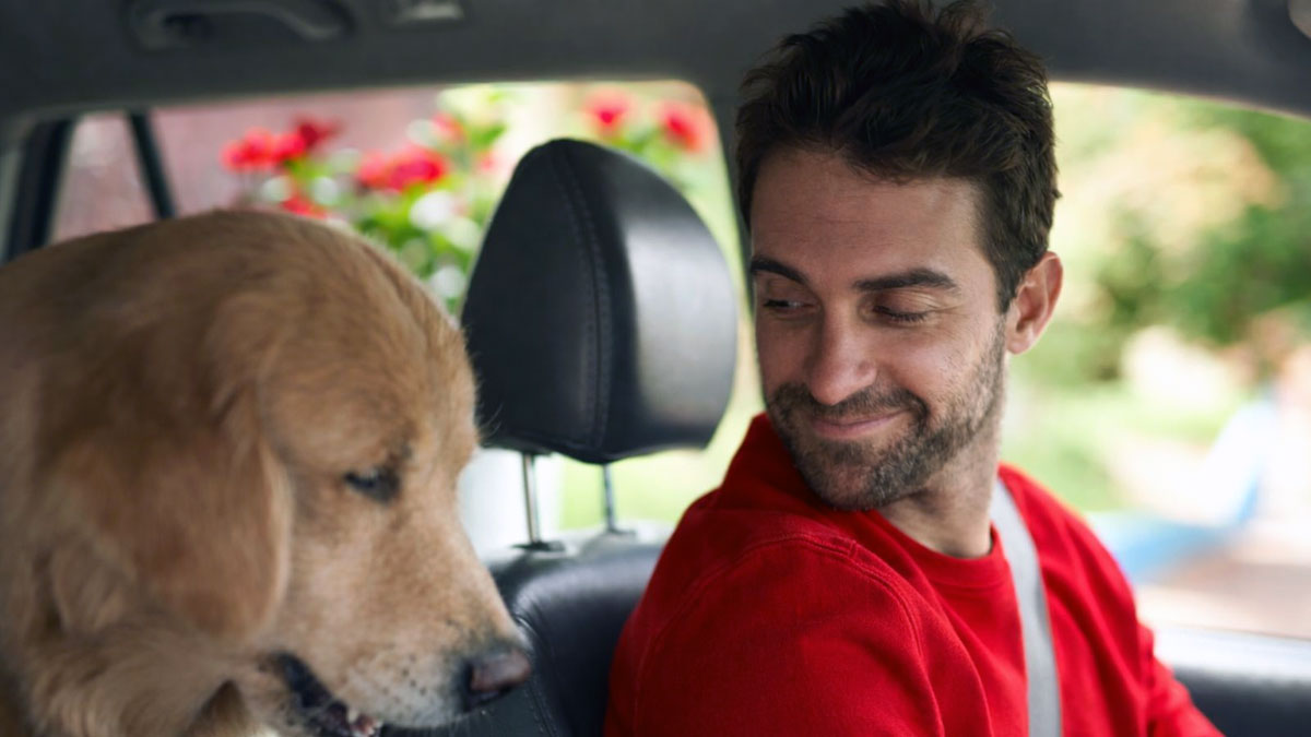 Viajar seguro con mascotas en el auto: Consejos de La Caja