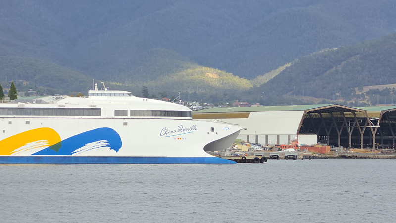 Ferry China Zorrilla de Buquebus en Tasmania
