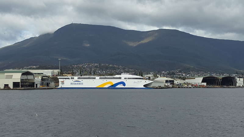 Ferry China Zorrilla de Buquebus en Tasmania