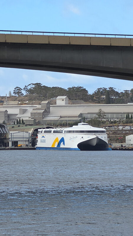 Ferry China Zorrilla de Buquebus en Tasmania