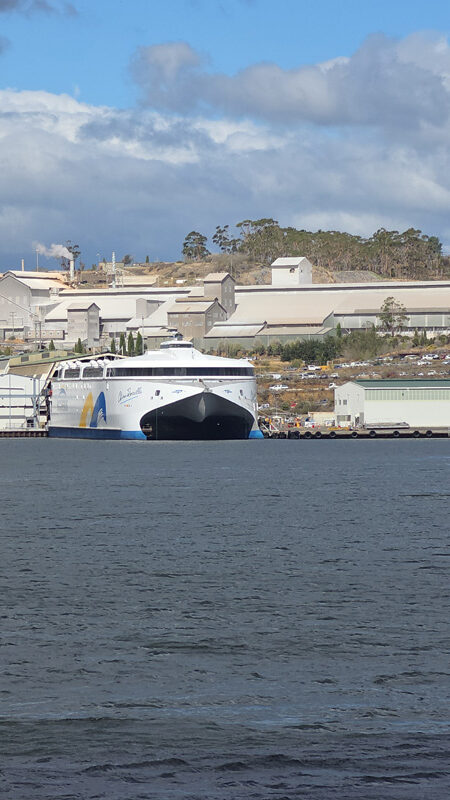 Ferry China Zorrilla de Buquebus en Tasmania