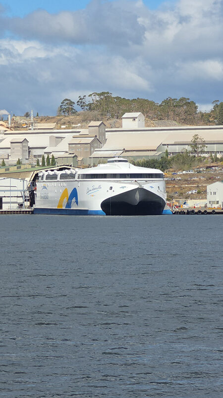 Ferry China Zorrilla de Buquebus en Tasmania
