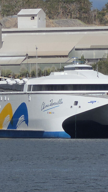 Ferry China Zorrilla de Buquebus en Tasmania