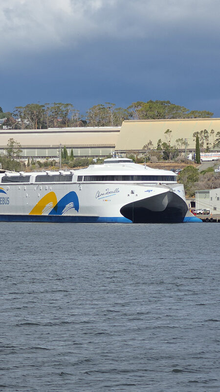 Ferry China Zorrilla de Buquebus en Tasmania