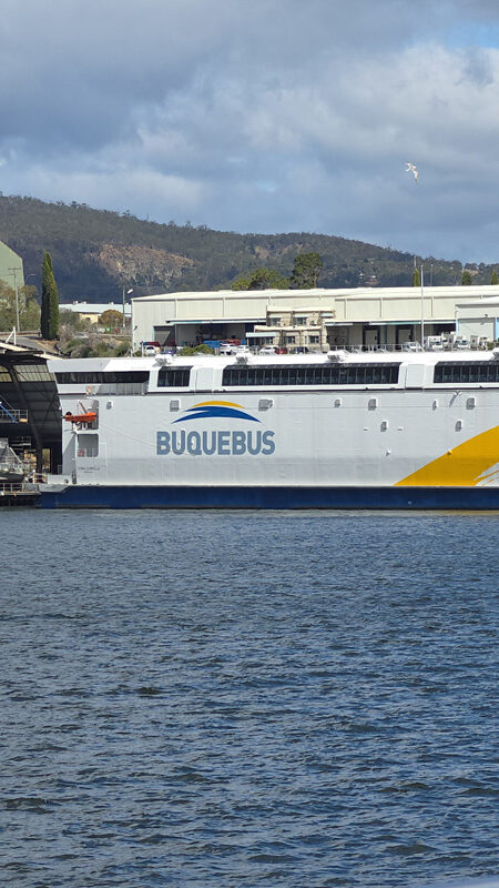 Ferry China Zorrilla de Buquebus en Tasmania