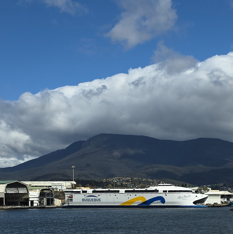 Ferry China Zorrilla de Buquebus en Tasmania