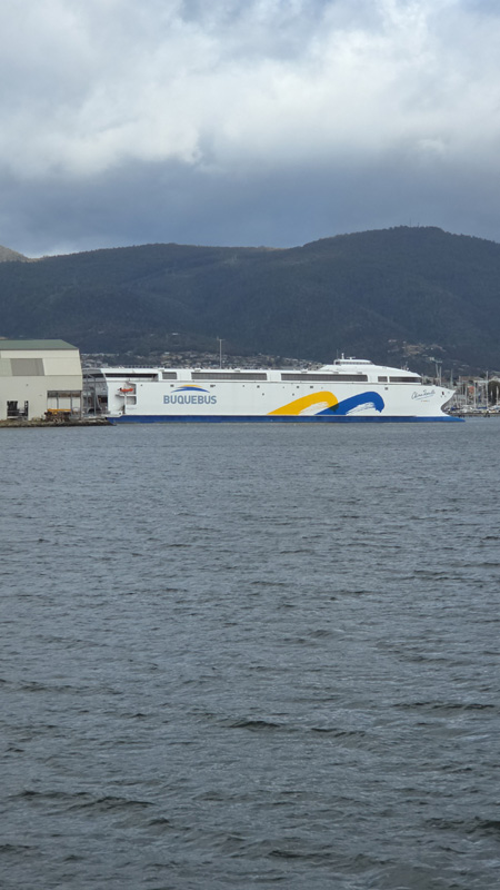 Ferry China Zorrilla de Buquebus en Tasmania