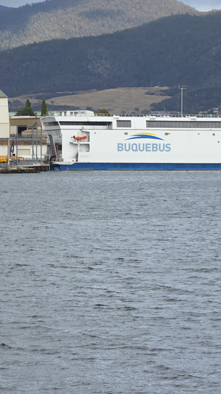 Ferry China Zorrilla de Buquebus en Tasmania