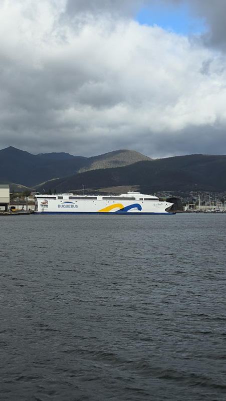 Ferry China Zorrilla de Buquebus en Tasmania
