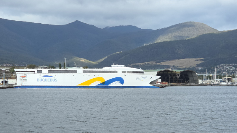Ferry China Zorrilla de Buquebus en Tasmania