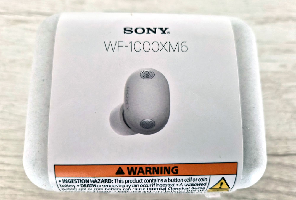 Sony WF-1000XM6