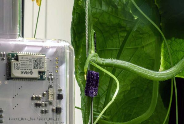 Biosensor Vita de Vivent Biosignals